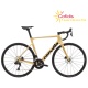 CERVELO SOLOIST 105 DI2 2024