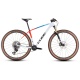 CUBE PHENIX C:68X SLT 2025