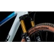 CUBE PHENIX C:68X SLT 2025