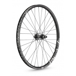 ROUES DT SWISS FR 1950 CLASSIC 2019