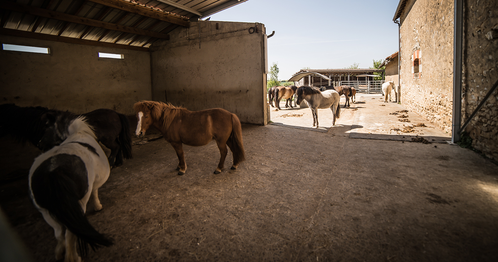 Le poney-club des écuries de Sanval